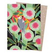Greeting Card - Pincushion Hakea